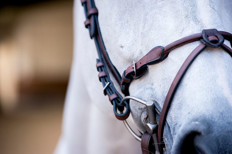 PS of Sweden HVE Bridle - Image 3