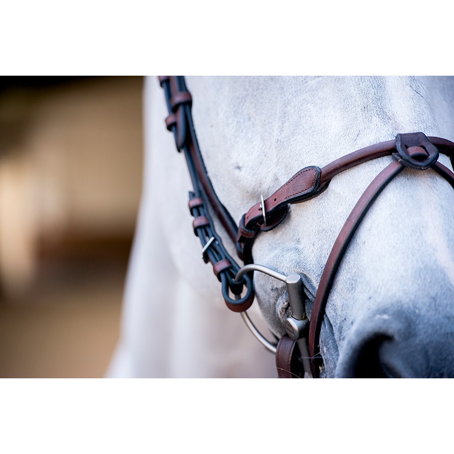 PS of Sweden HVE Bridle - Image 3