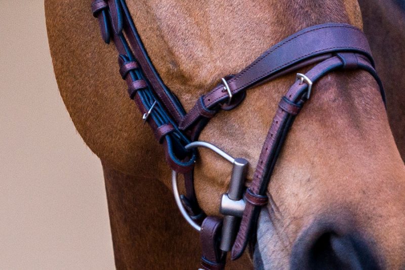 PS of Sweden HVE Bridle - Image 4