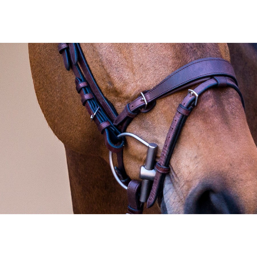 PS of Sweden HVE Bridle - Image 4