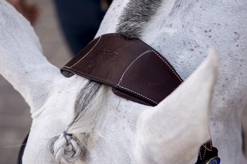 PS of Sweden HVE Bridle - Image 5