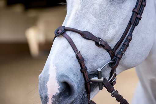 PS of Sweden HVE Bridle - Image 6