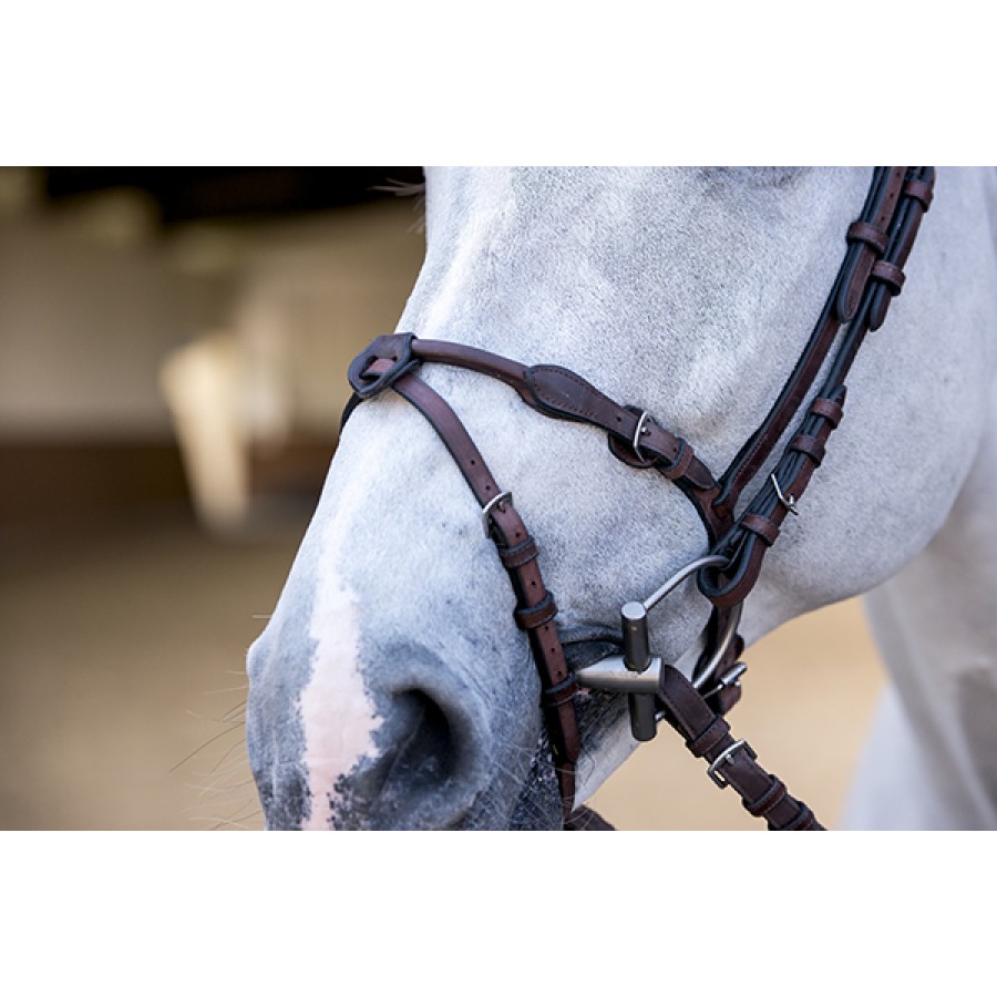 PS of Sweden HVE Bridle - Image 6