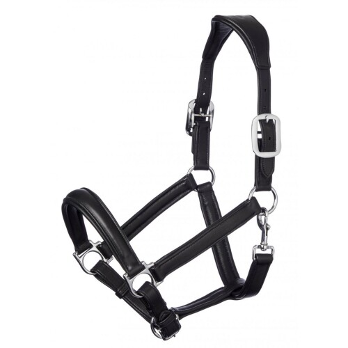 LeMieux Anatomic Headcollar Black