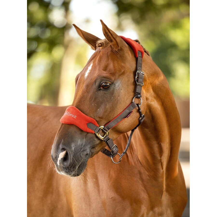 LeMieux Vogue Headcollar & Lead-rope Sets - Image 9