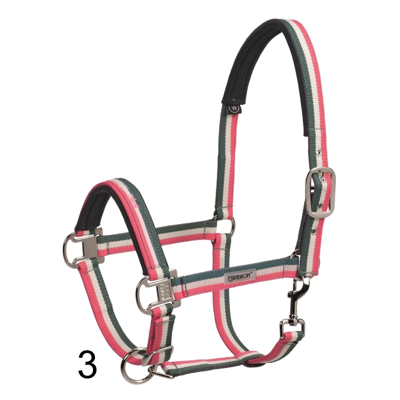 Cart