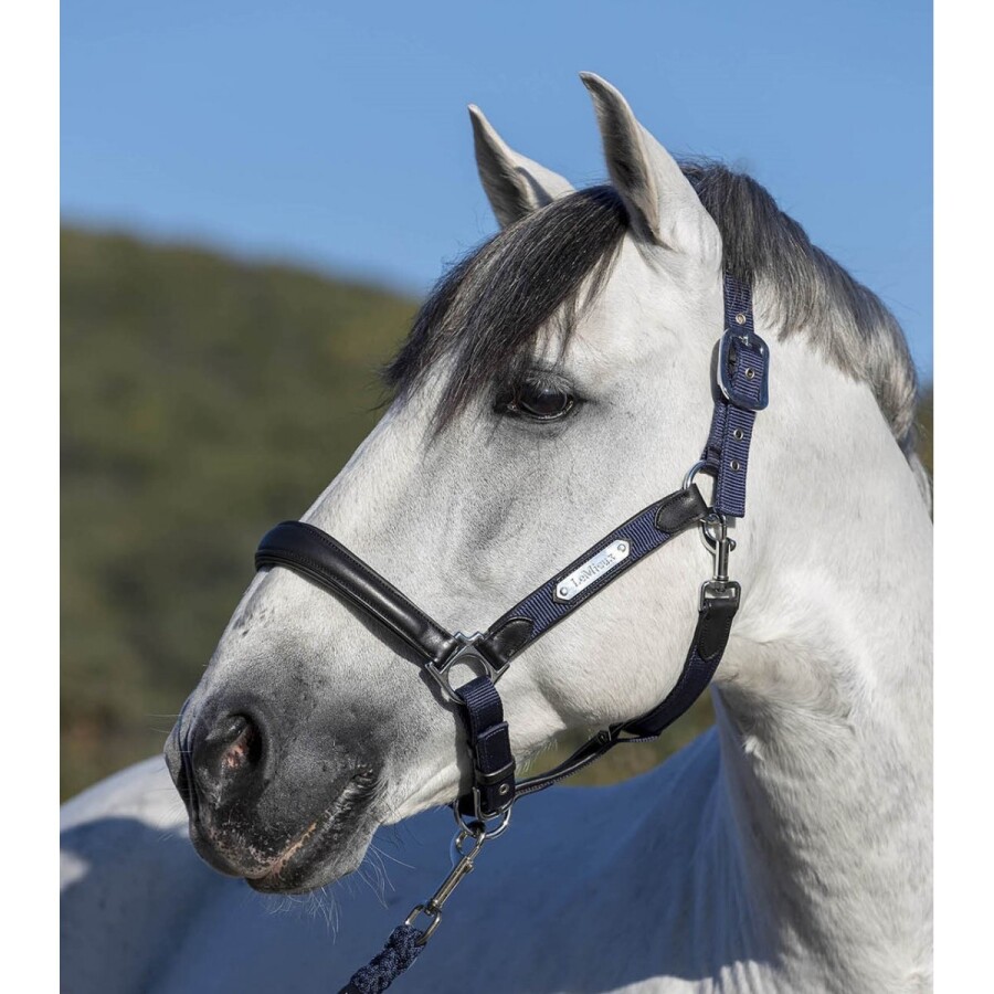 LeMieux Capella Headcollar - Image 8