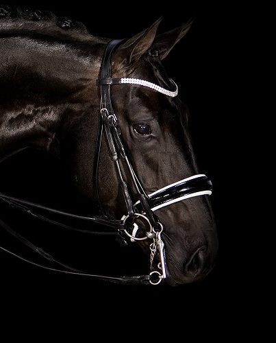 Weymouth Bridles