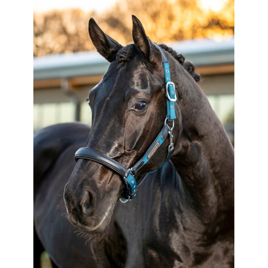 LeMieux Capella Headcollar - Image 2