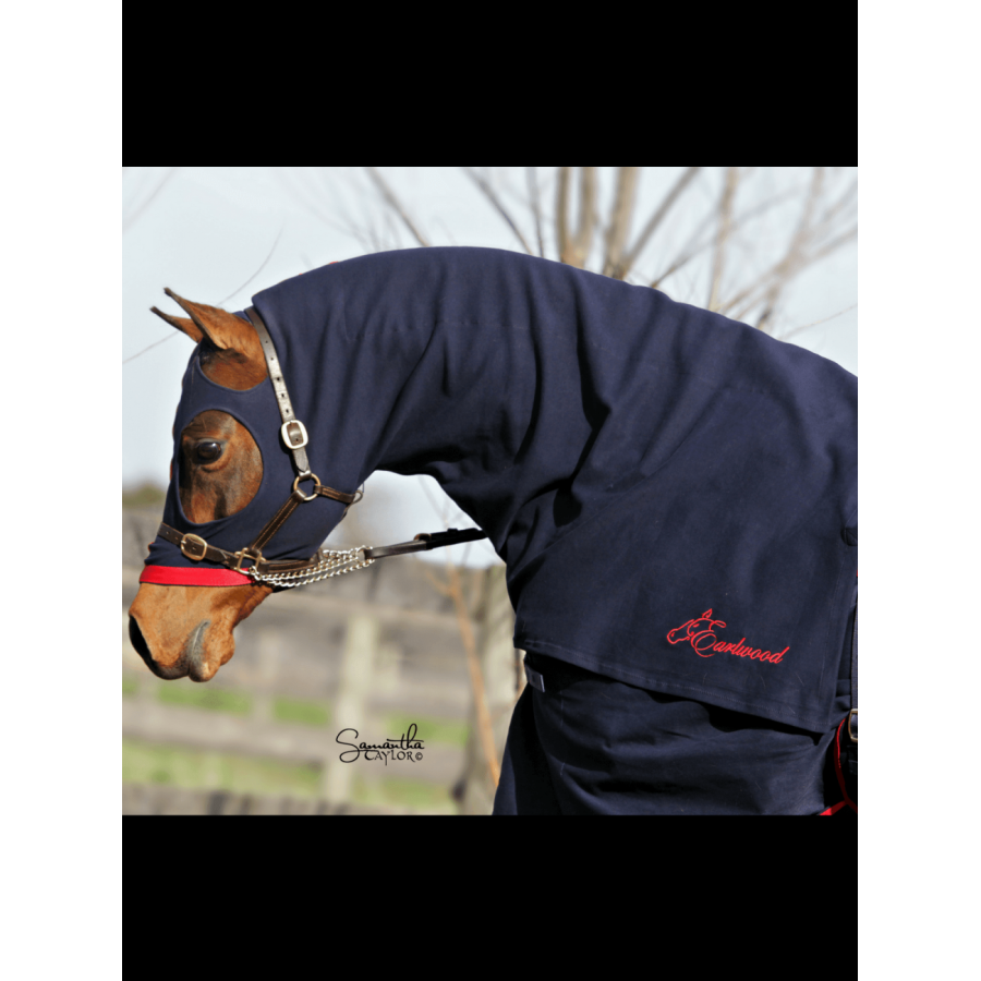 Earlwood Hood - PULL ON - Image 2