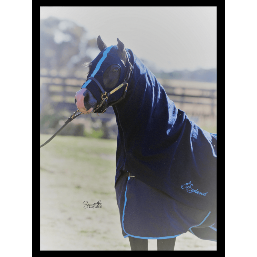 Earlwood Hood - PULL ON - Image 4