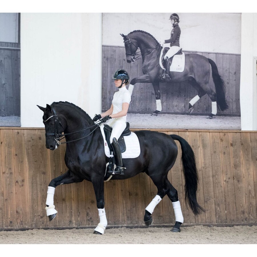 LeMieux Loire Polo Bandages - Image 9