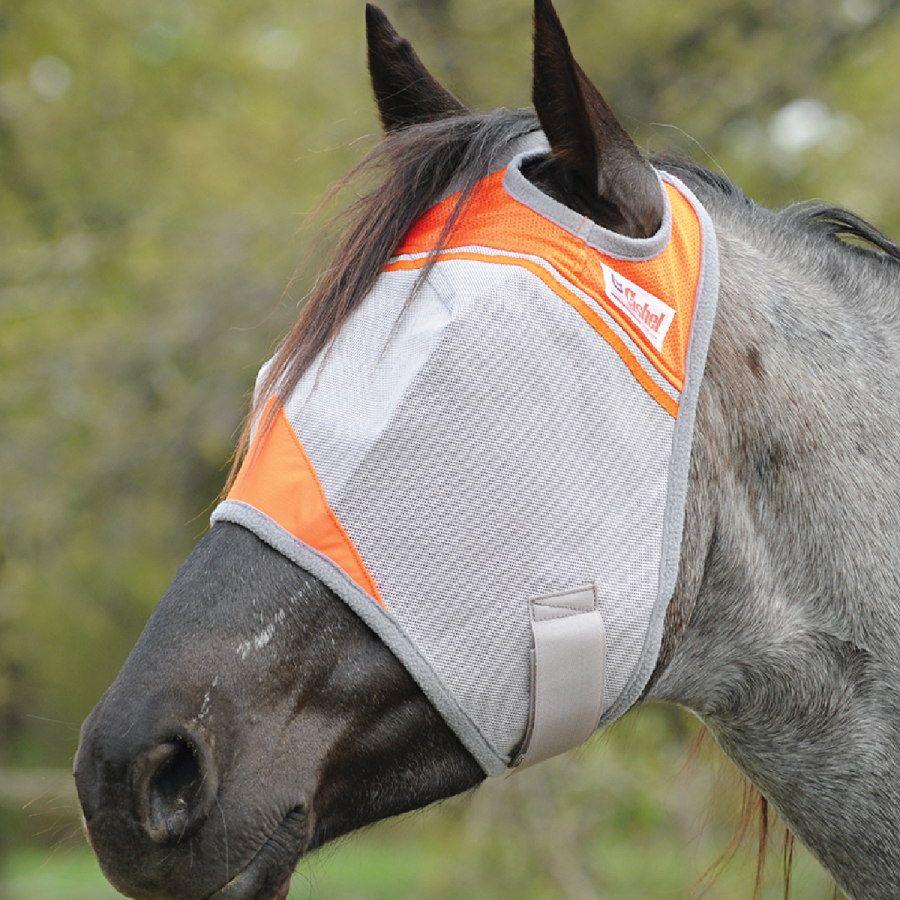 Cashel Fly Mask - Image 5