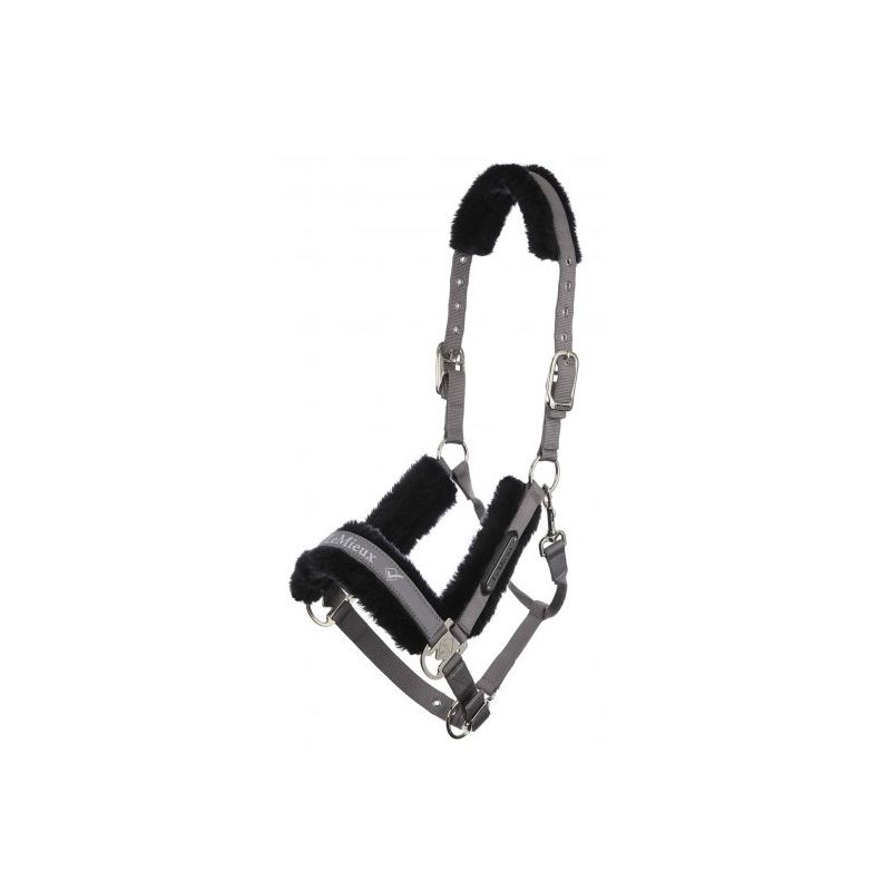 Cart