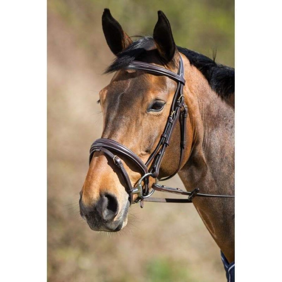 HFI Elegant Snaffle Bridle