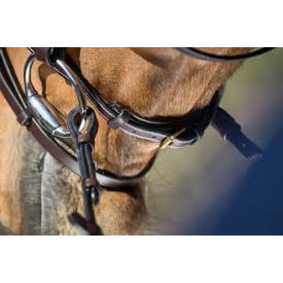HFI Elegant Snaffle Bridle - Image 3