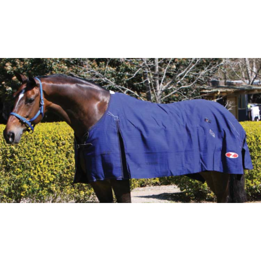 Zilco Blue Mountain Canvas Rug