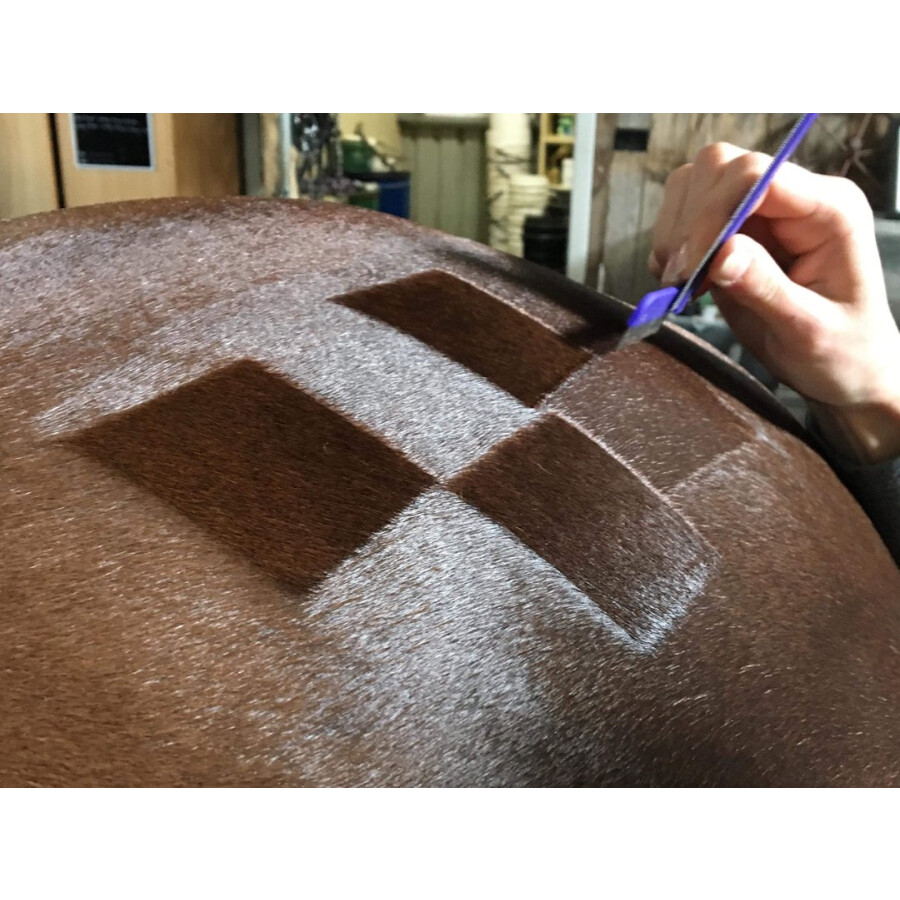 Hairy Pony QTR Comb - Image 2