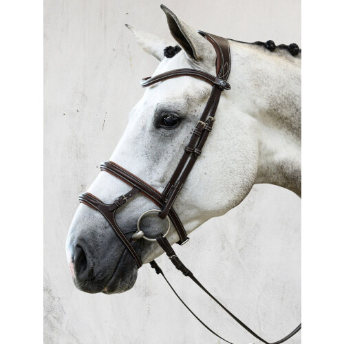 Alternative view of PS of Sweden Paris Bridle