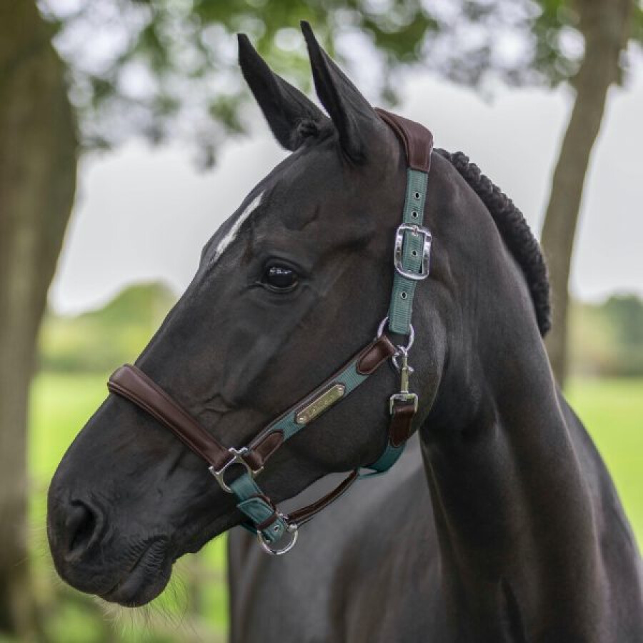 LeMieux Capella Headcollar - Image 5
