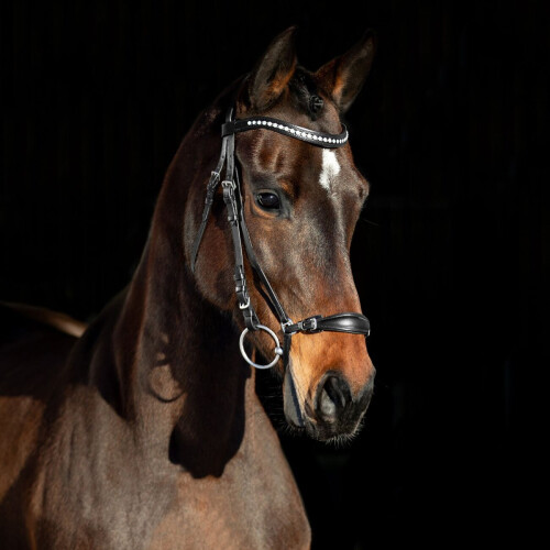 horze-positano-hannover-bridle