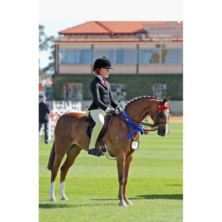 Bare Lemon Butter Youth Competition Tights - Image 2