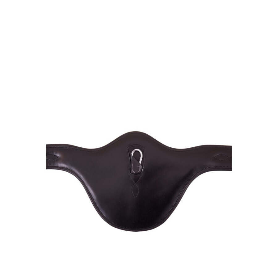 BR Eastbourne Girth - Image 3