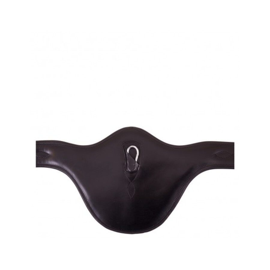 BR Eastbourne Girth - Image 5