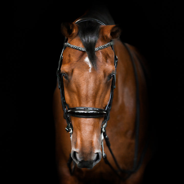 Bridle from Dressage for bite and Filet Weymouth Double Bridle 