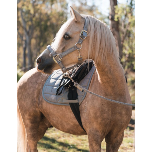 Alternative view of Eurohunter Glitter Saddle Pad - Dressage