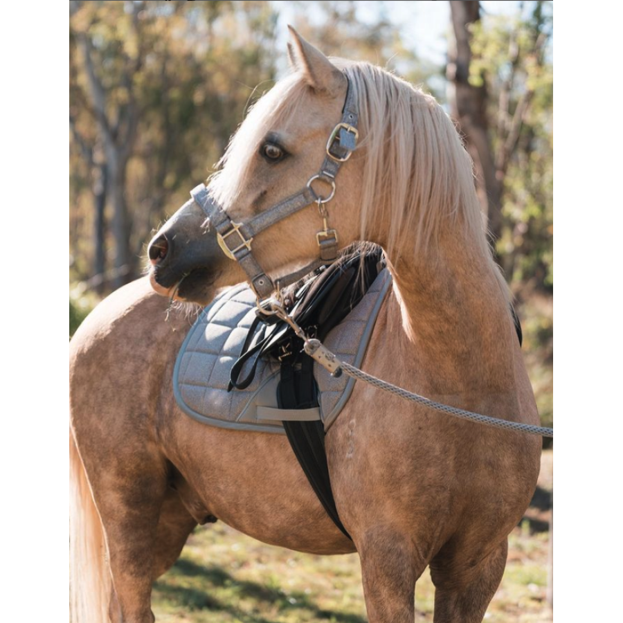 Eurohunter Glitter Saddle Pad - Dressage - Image 2