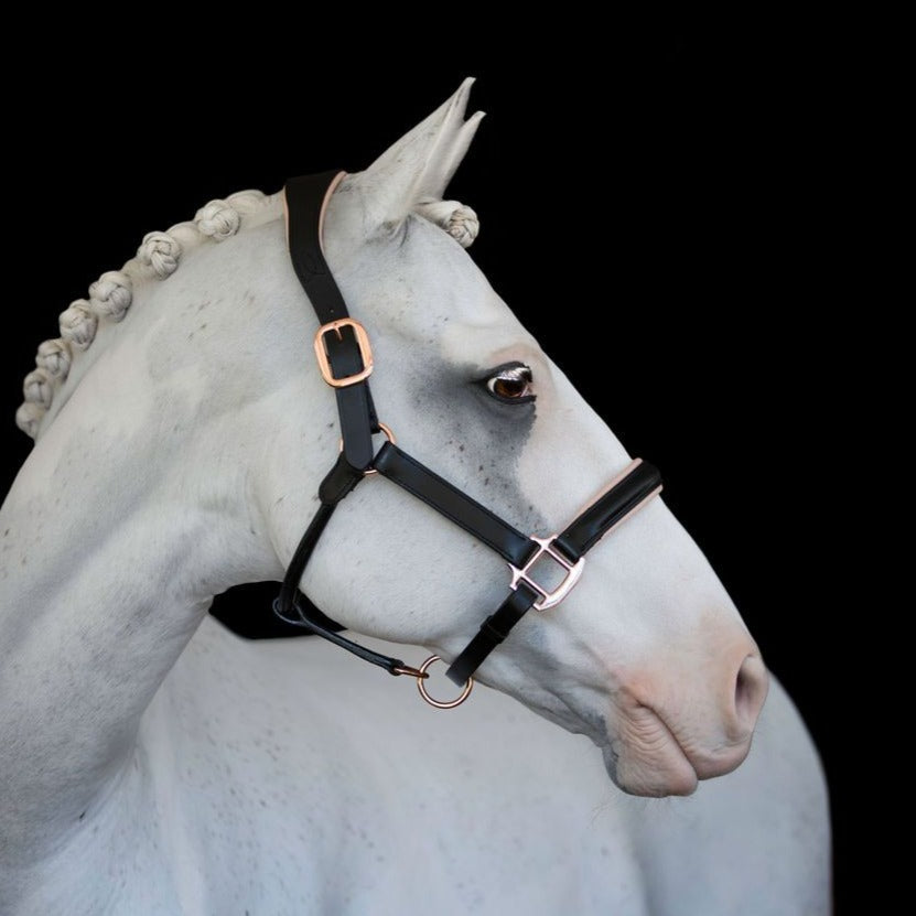 Lumiere Hollywood Leather Halter - Image 2