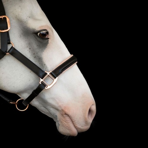 Lumiere Hollywood Leather Halter - Image 5