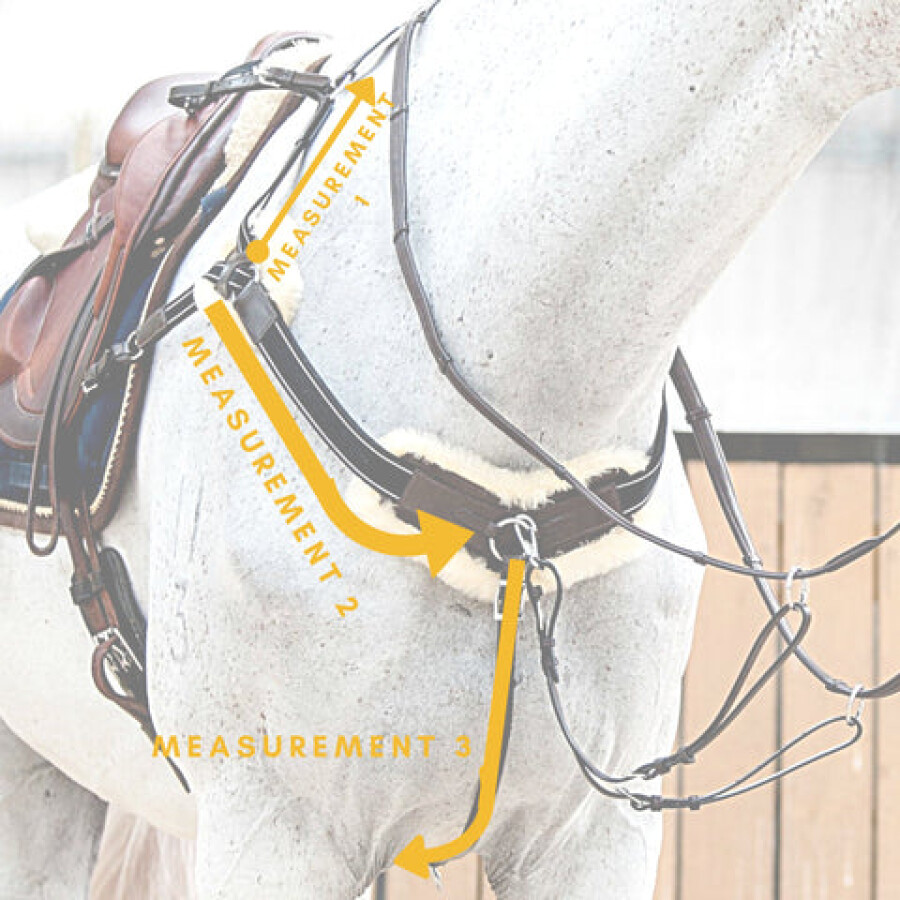 Lumiere Anka Breastplate - Image 5