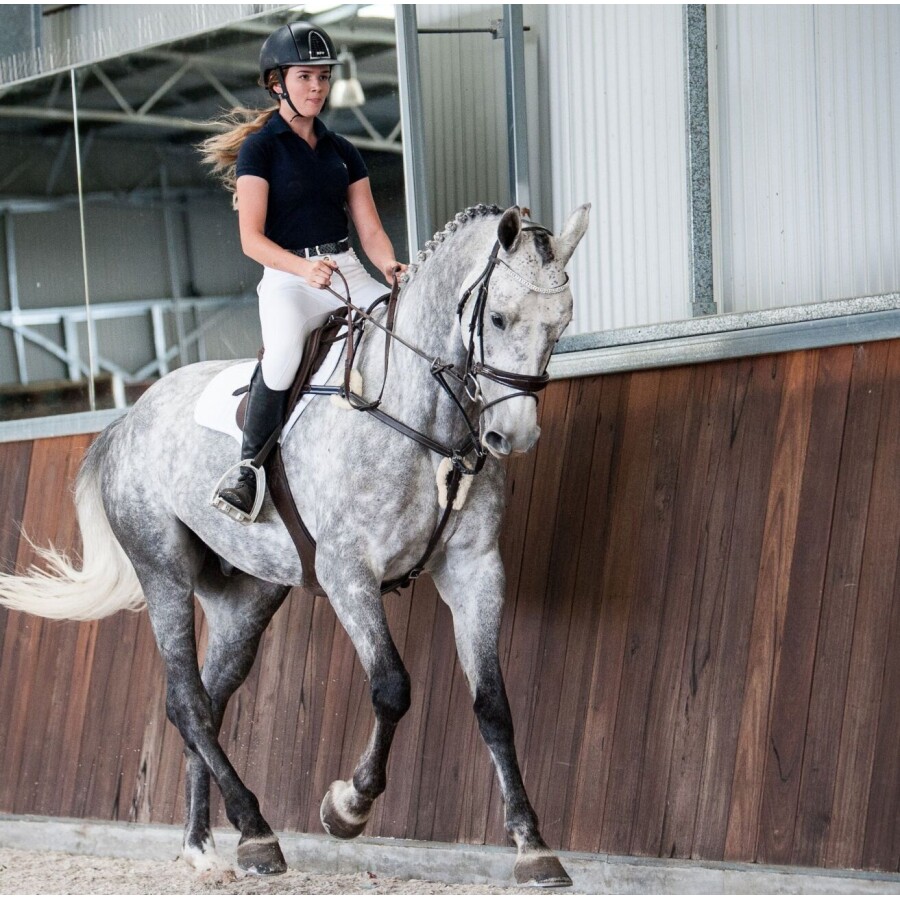 Lumiere Antiqua Breastplate - Image 3