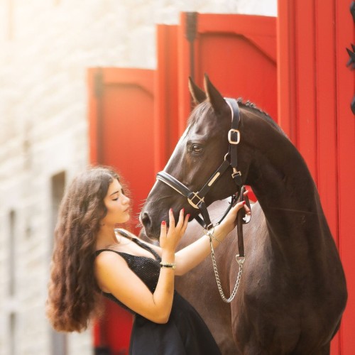 Lumiere Hollywood Leather Halter - Image 4