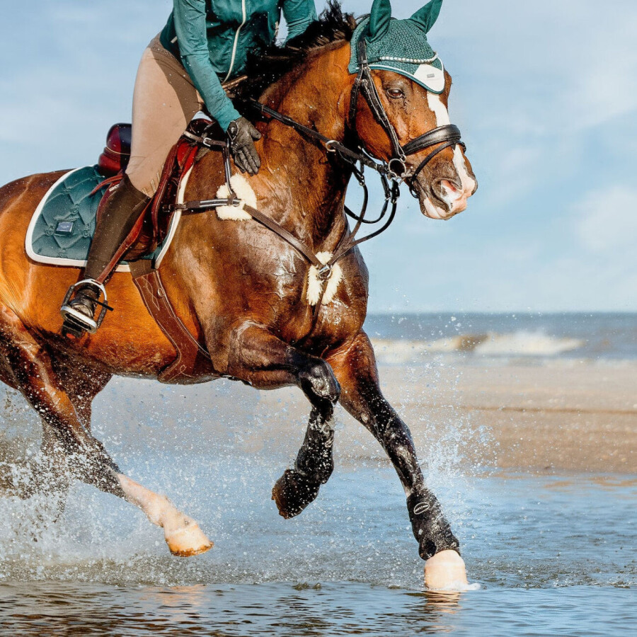 Lumiere Antiqua Breastplate