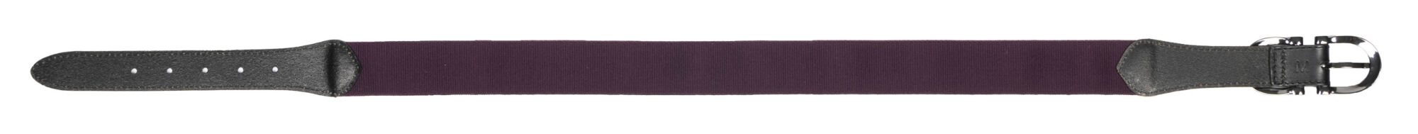 LeMieux Elasticated Belt - Image 10