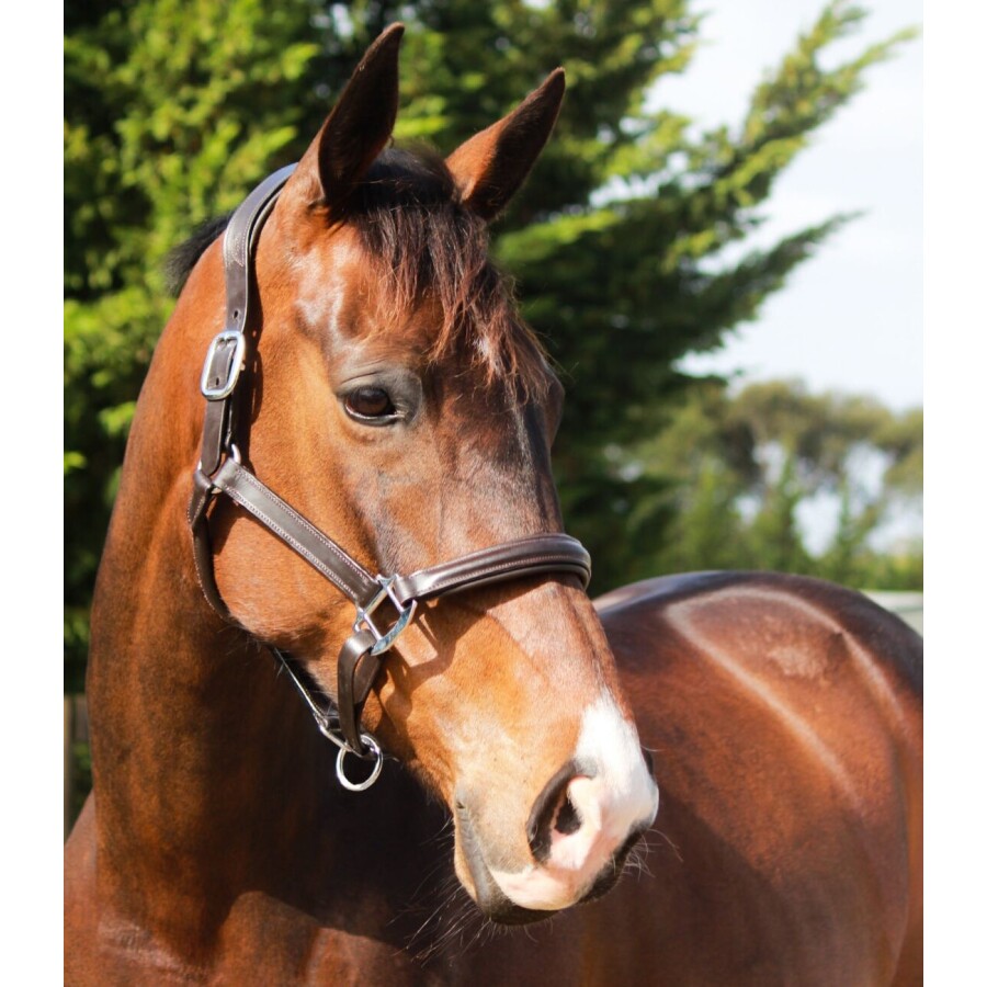 Lumiere Alize Leather Halter - Image 2