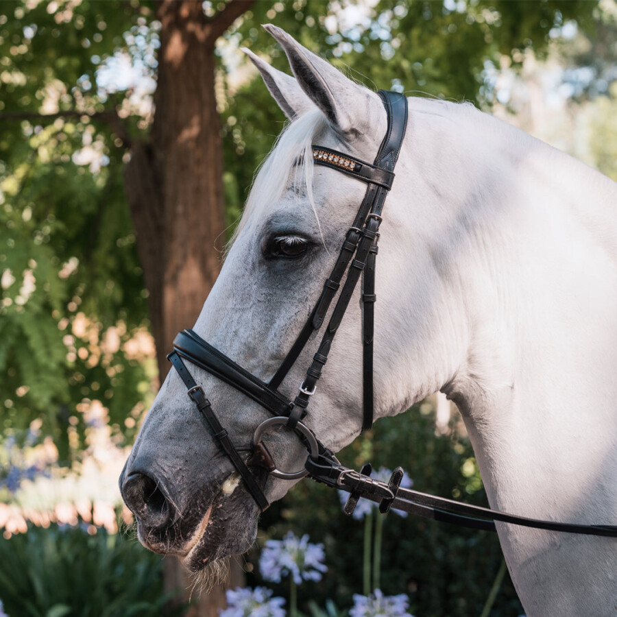Grainge Dressage Snaffle Bridle with Gold/Silver Crystal Browband - Image 3