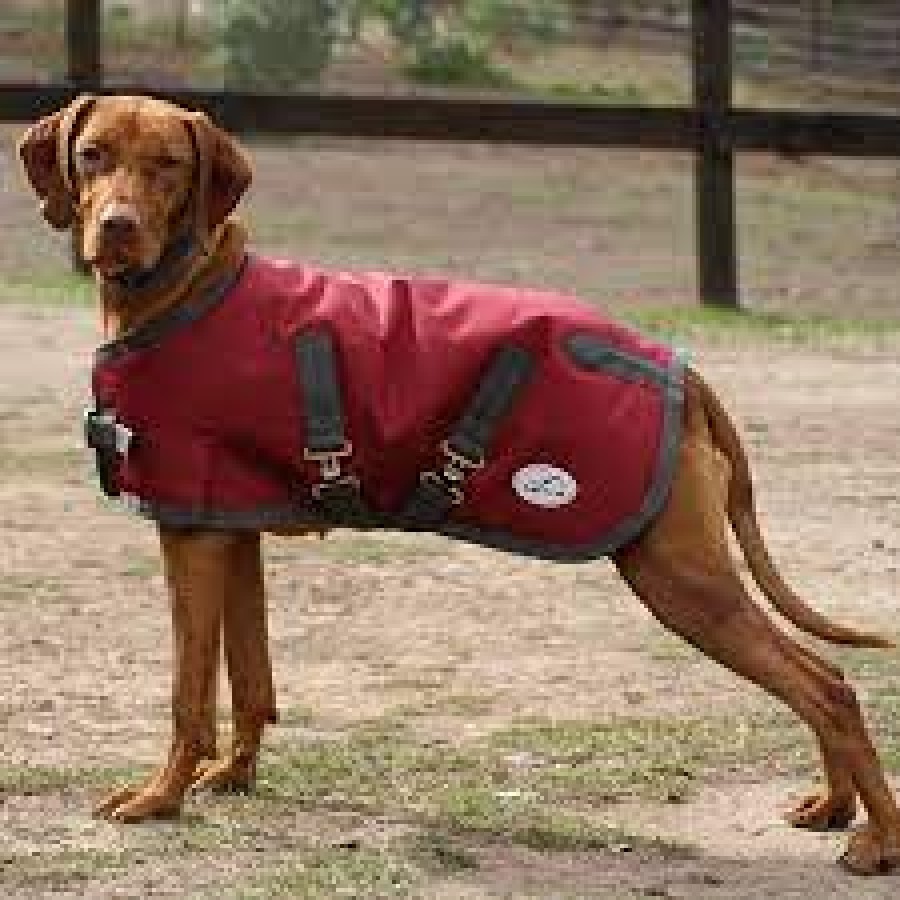 Eurohunter Thredbo Dog Rug