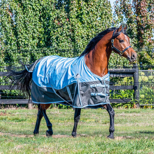 Eurohunter Hotham Rug