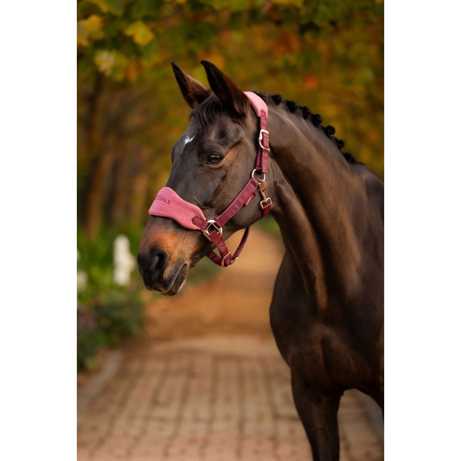 LeMieux Vogue Headcollar & Lead-rope Sets - Image 6