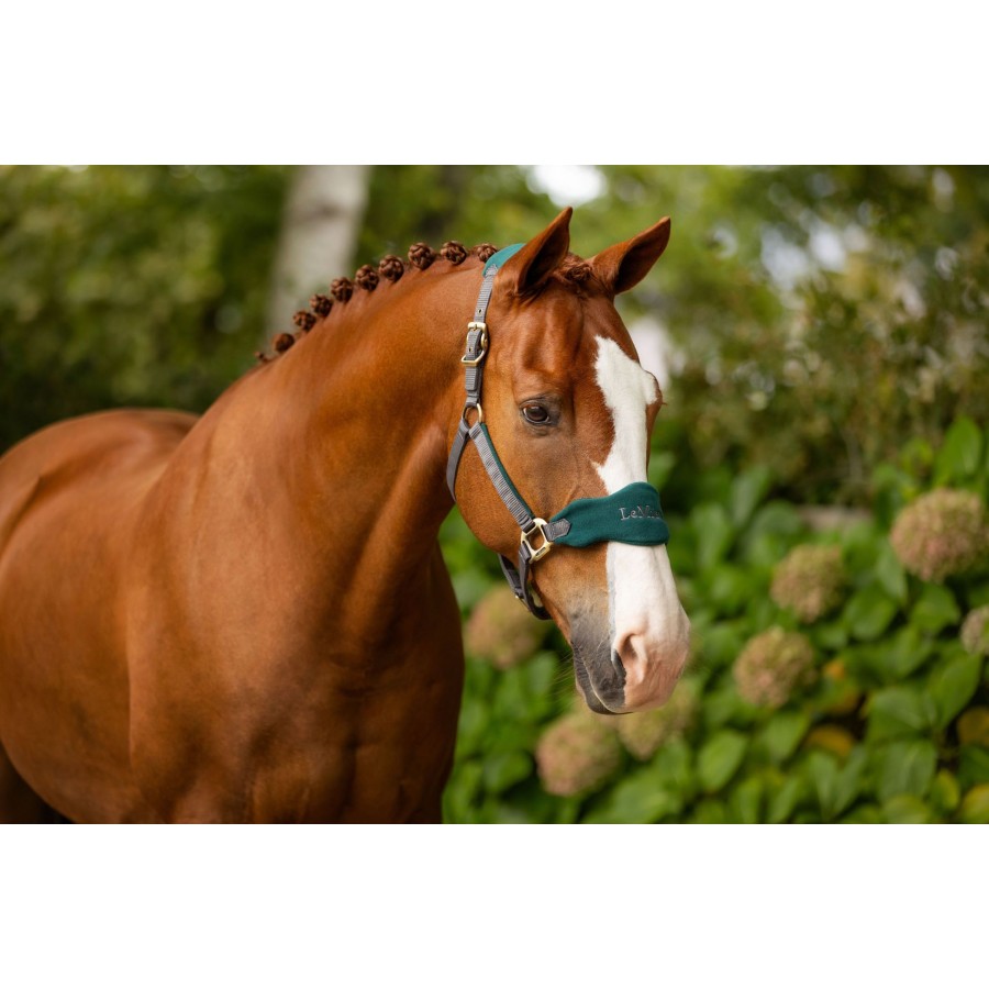 LeMieux Vogue Headcollar & Lead-rope Sets - Image 5