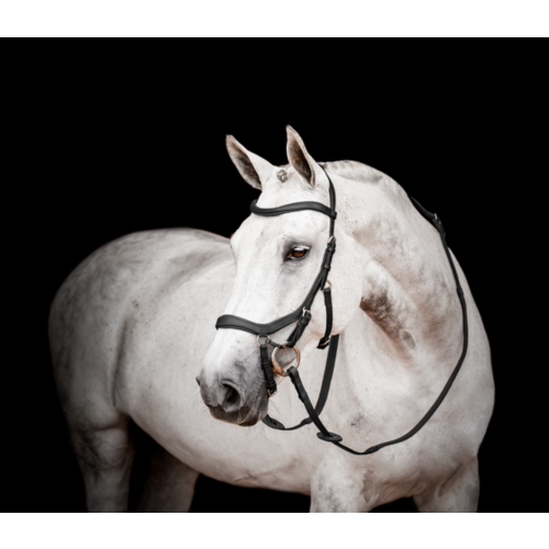 Horseware Micklem 2 Competition Bridle