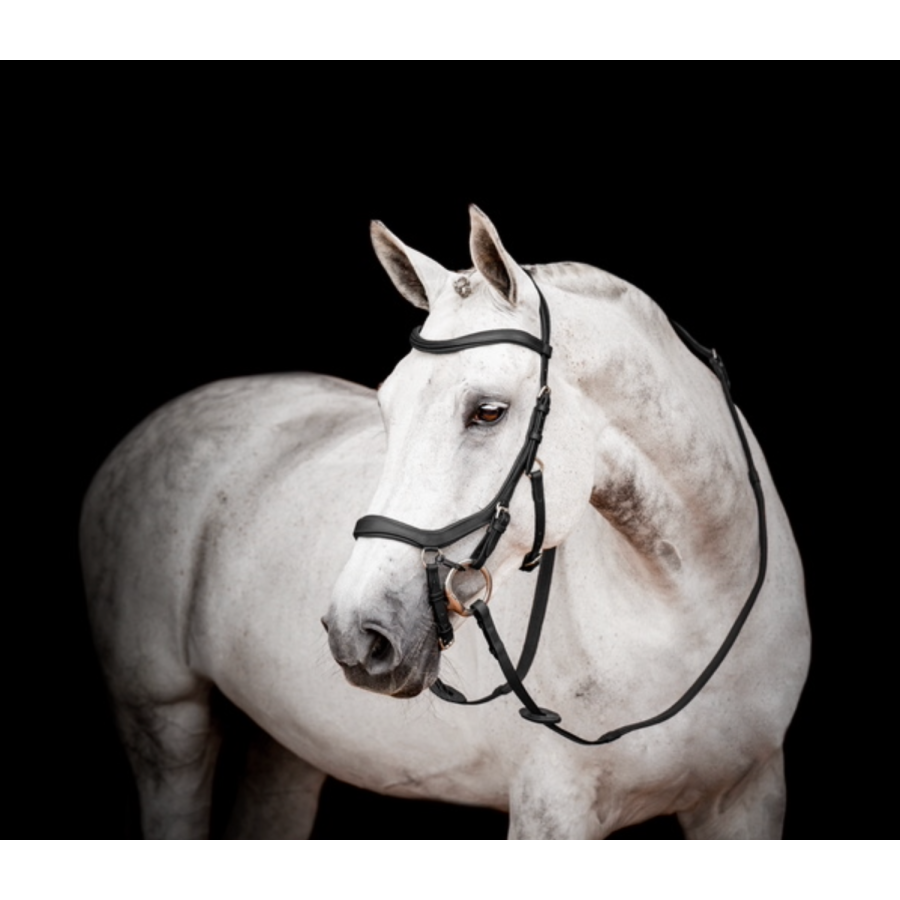 Horseware Micklem 2 Competition Bridle