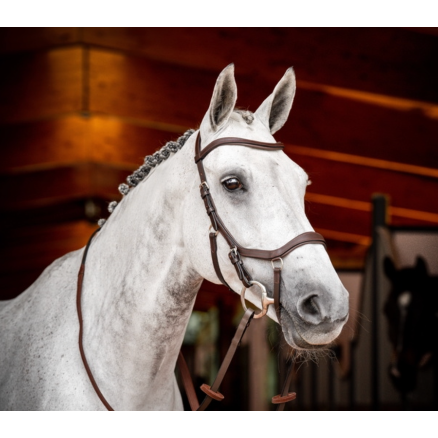 Horseware Micklem 2 Competition Bridle - Image 3