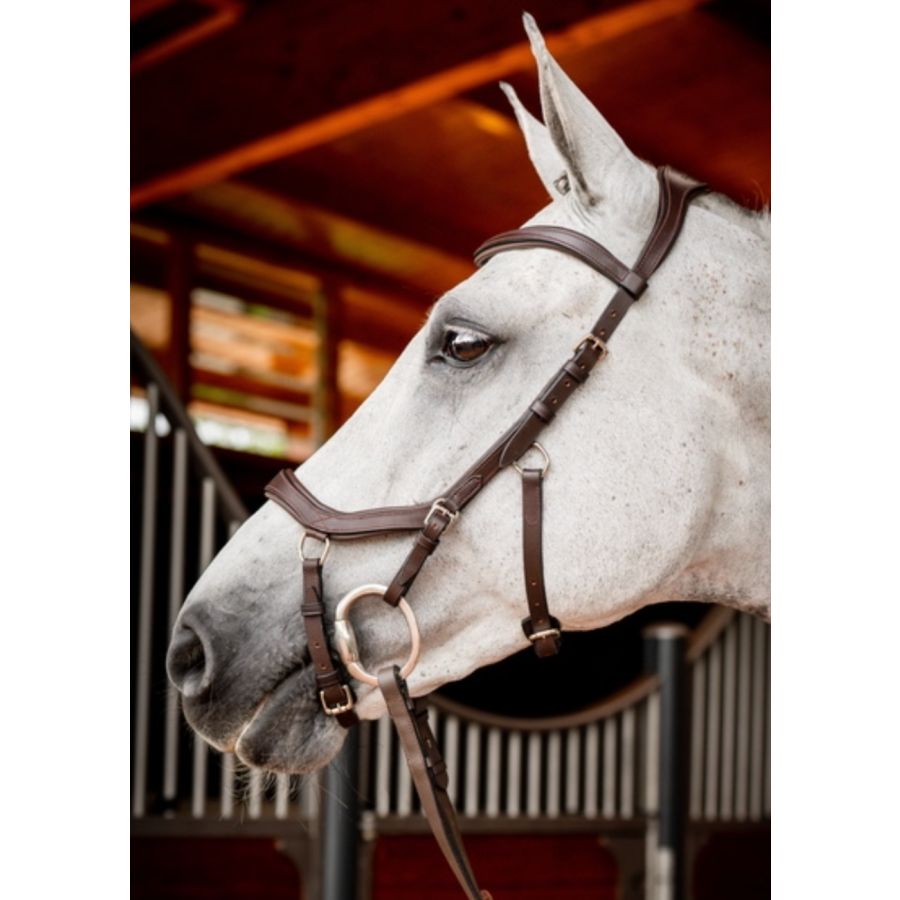 Horseware Micklem 2 Competition Bridle - Image 2