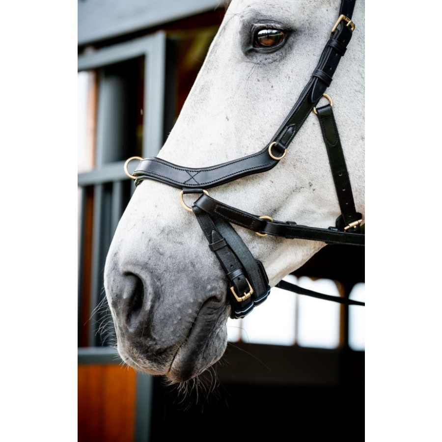 Horseware Micklem 2 Multi-Bridle - Image 3