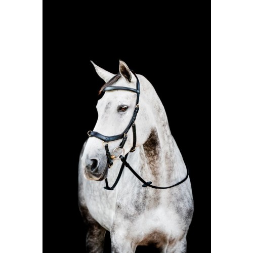 Horseware Micklem 2 Multi-Bridle